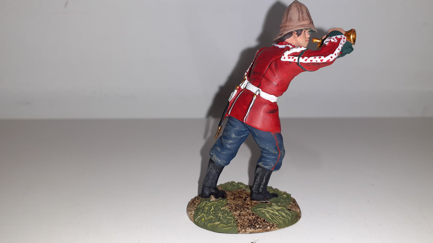 Britains 50018c Zulu wars 24th Foot Regt Bugle Boy Club Fig 1:32 2010 boxed B11 2407