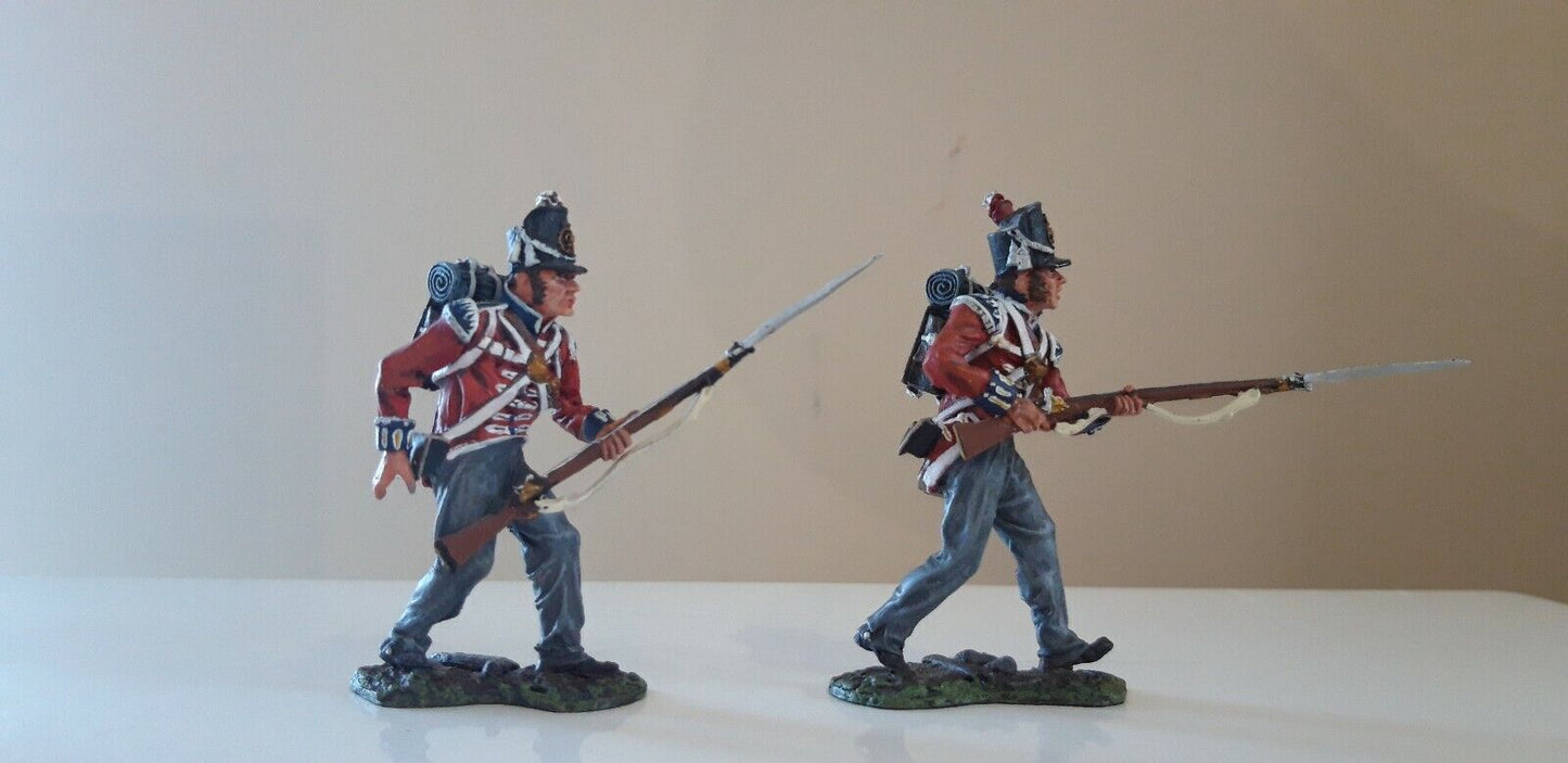 Collectors showcase British guards Waterloo hougoumont Napoleonic cs00556