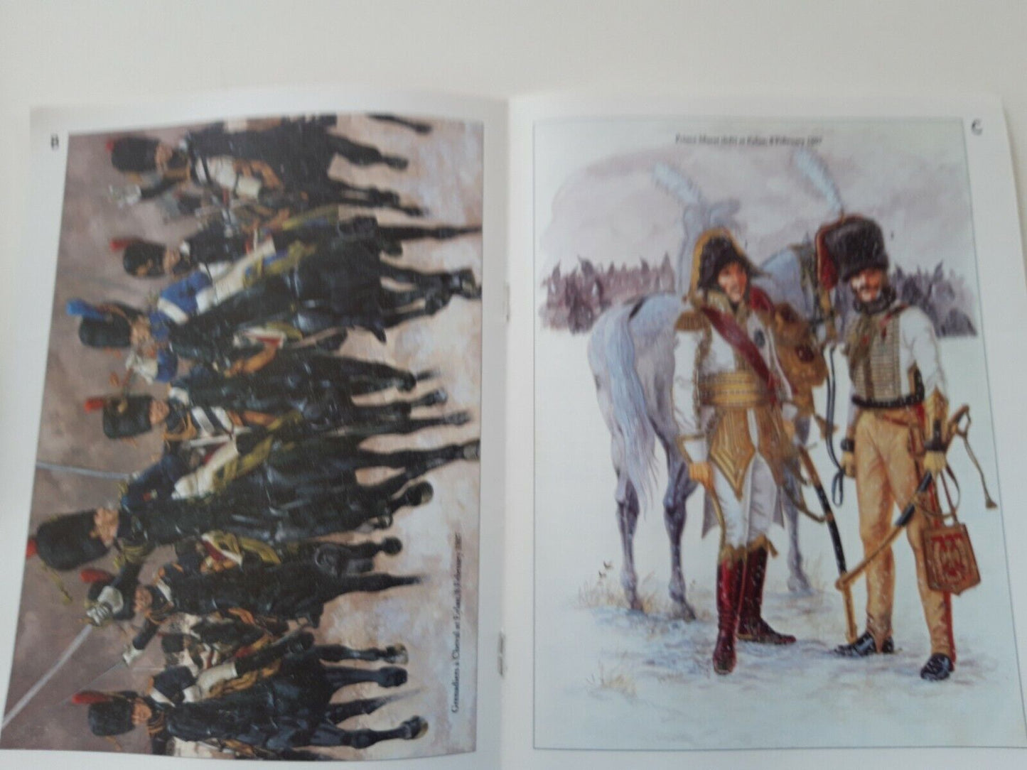 Del prado napoleon at war 37 waterloo 1:30 French grenadiers cheval mib book