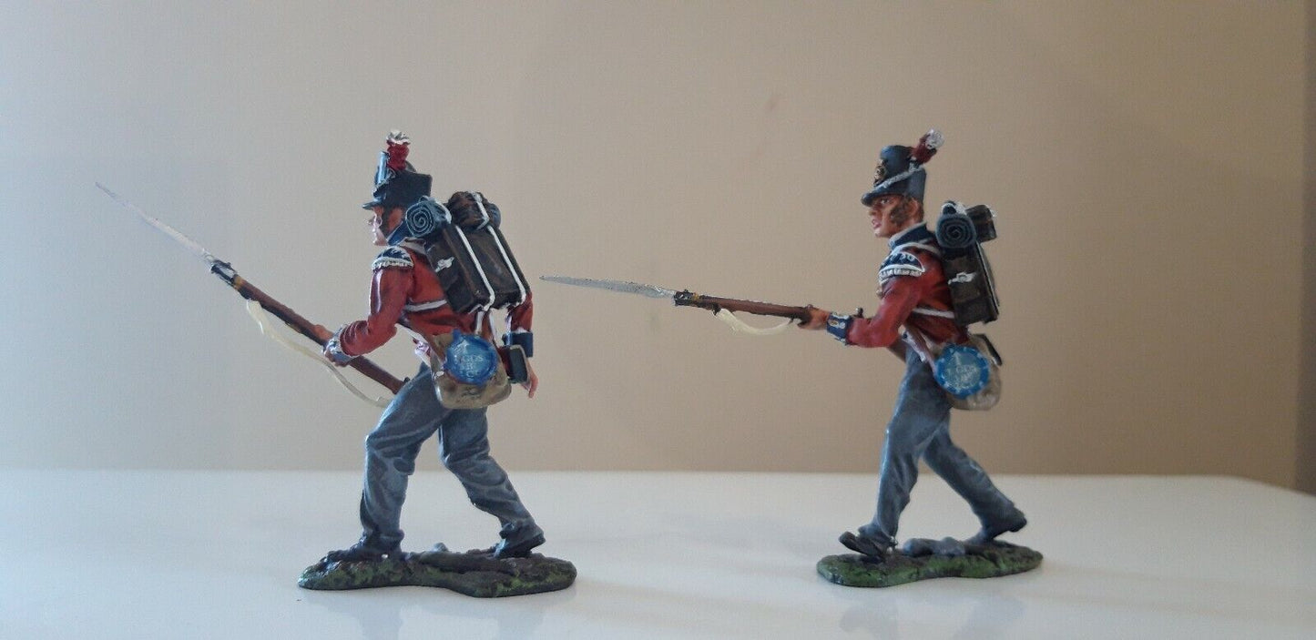 Collectors showcase British guards Waterloo hougoumont Napoleonic cs00556