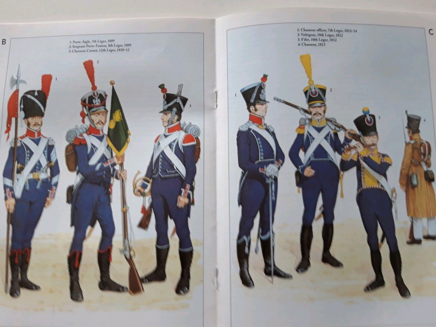 Del prado napoleon at war 35 waterloo 1:30 French light infantry flag book